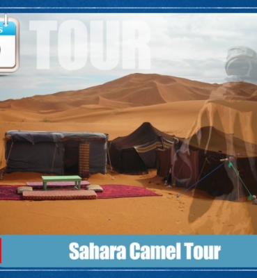 Tour de Camellos en Sahara